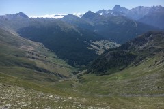 IMG_1524