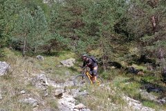 IMG20220911154716