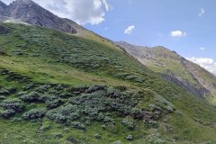 IMG20210723114354-PANO